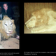 Illustration for article titled Why Does This World-Famous Conservationist Keep Shooting Animals?
